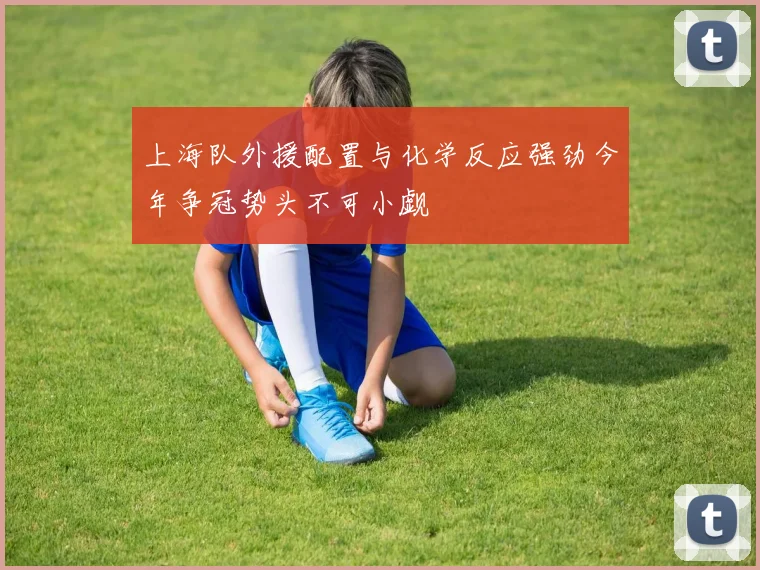 上海队外援配置与化学反应强劲今年争冠势头不可小觑